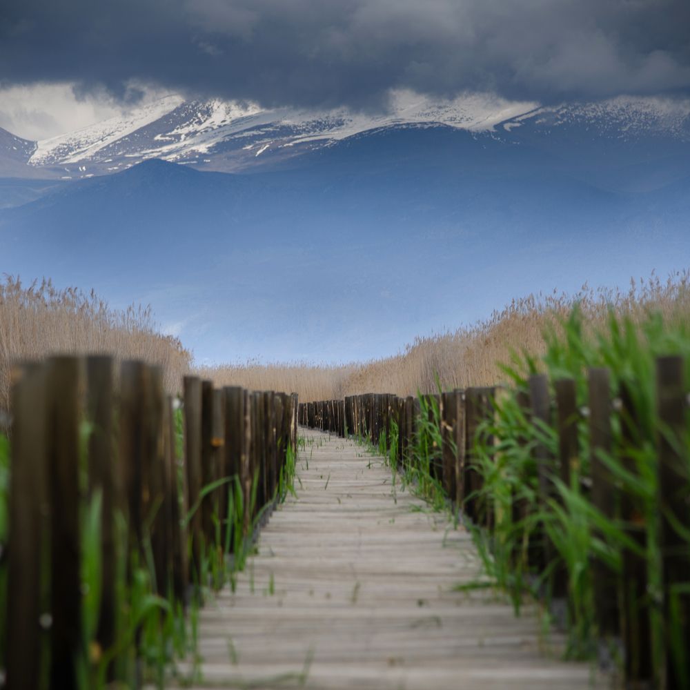 Photograph by Вайсберг Александр