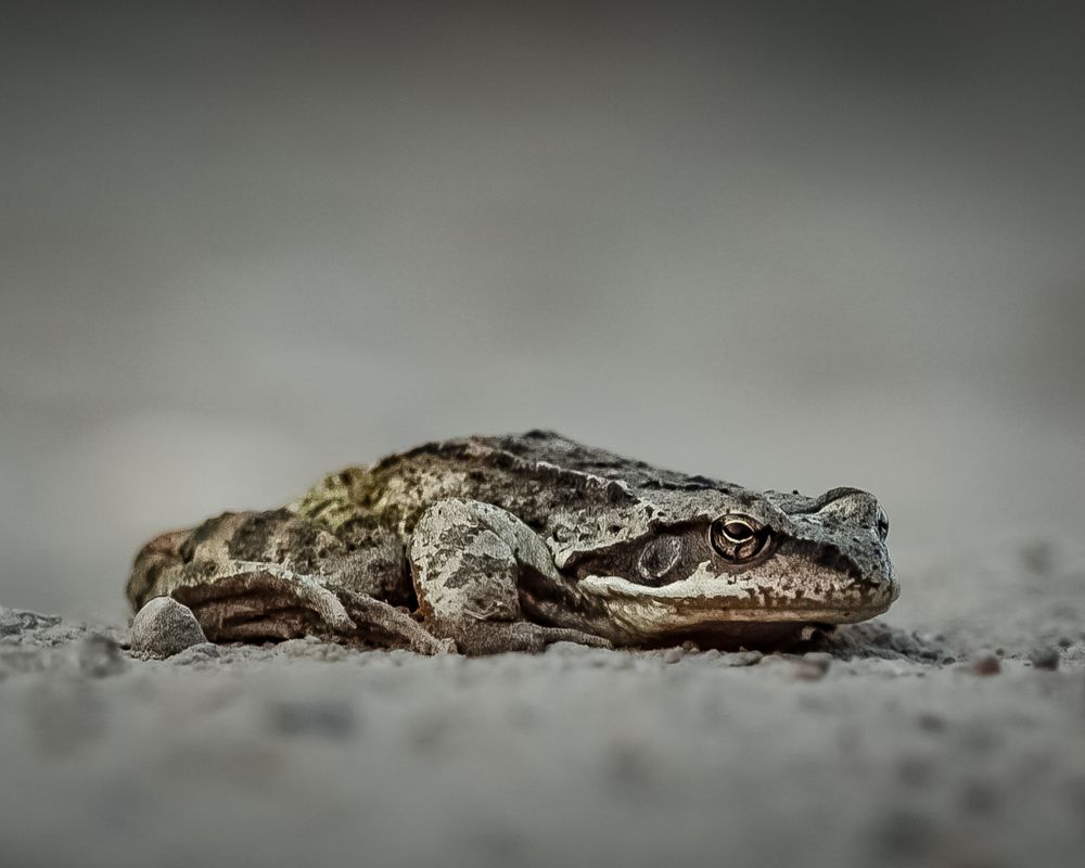 Photograph by T.Ю. Гринько