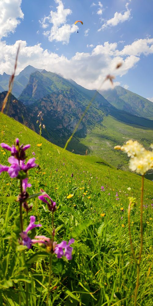 Фотография автора Лена дульмухаметова