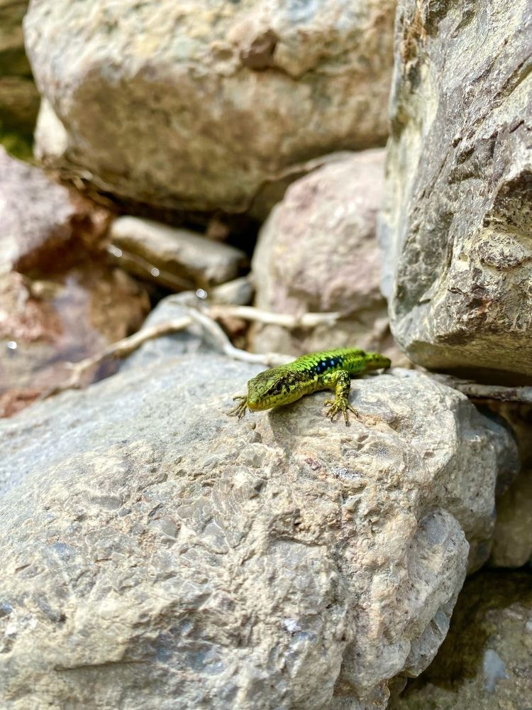 Фотография автора Сергей Качан