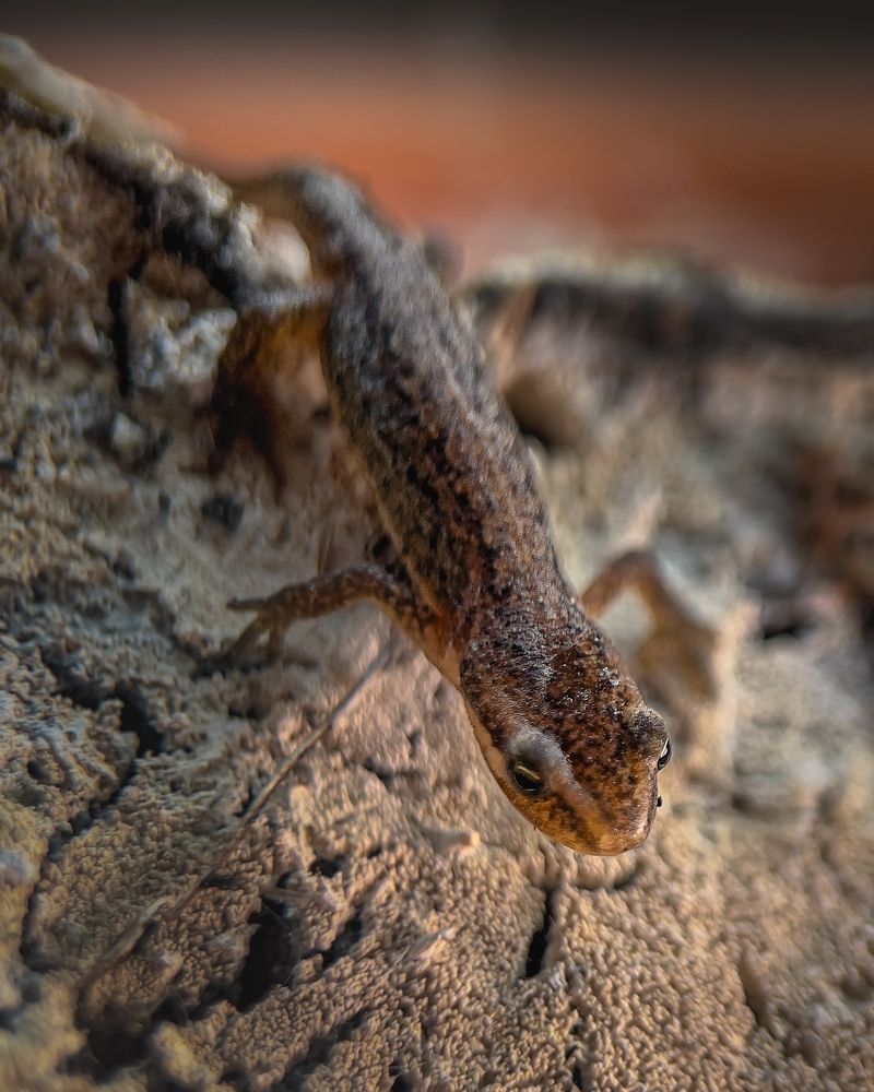 Photograph by T.Ю. Гринько