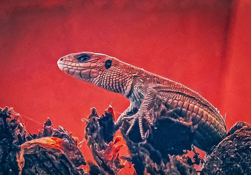 Photograph by Татьяна Гринько