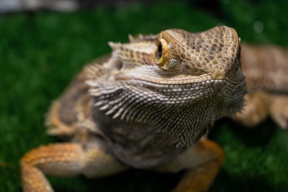 Photograph by Алексей Крукович