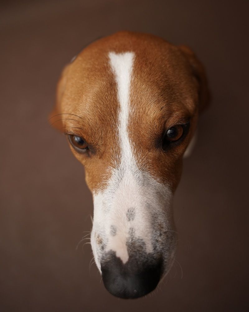 Photograph by Марина Аникина