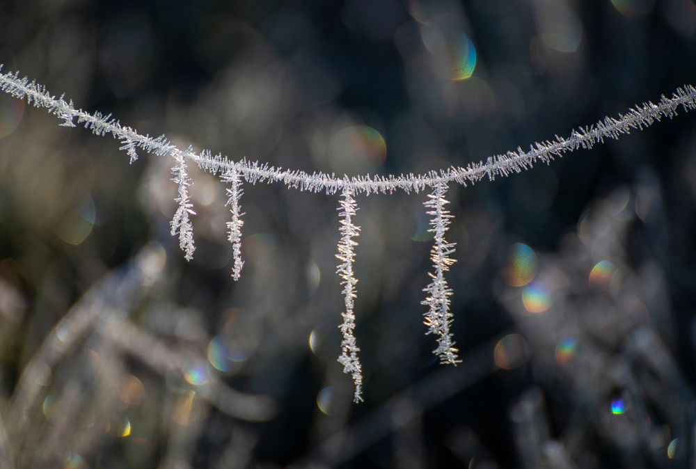 Photograph by Leanid Kulpo