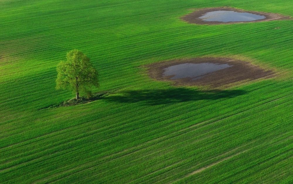 Photograph by Leanid Kulpo