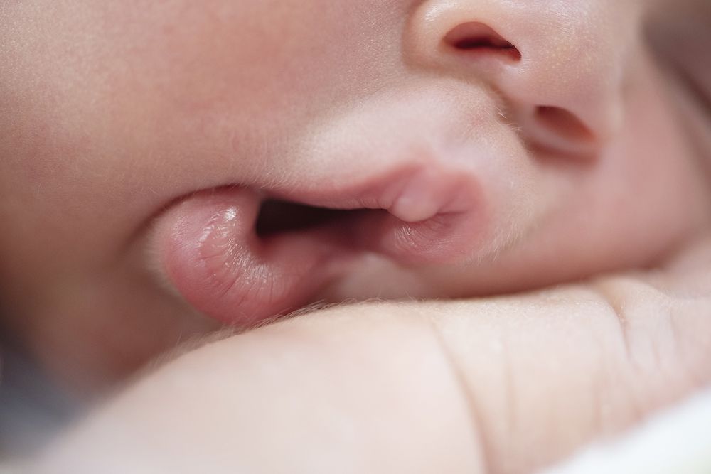 Photograph by Carla Rodrigues