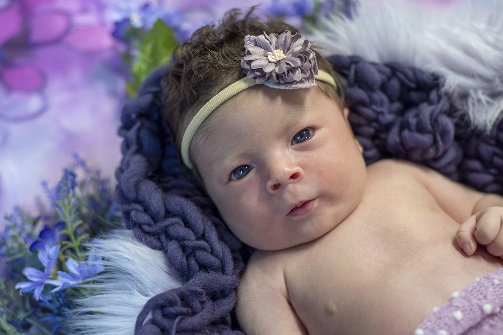 Photograph by Carla Rodrigues