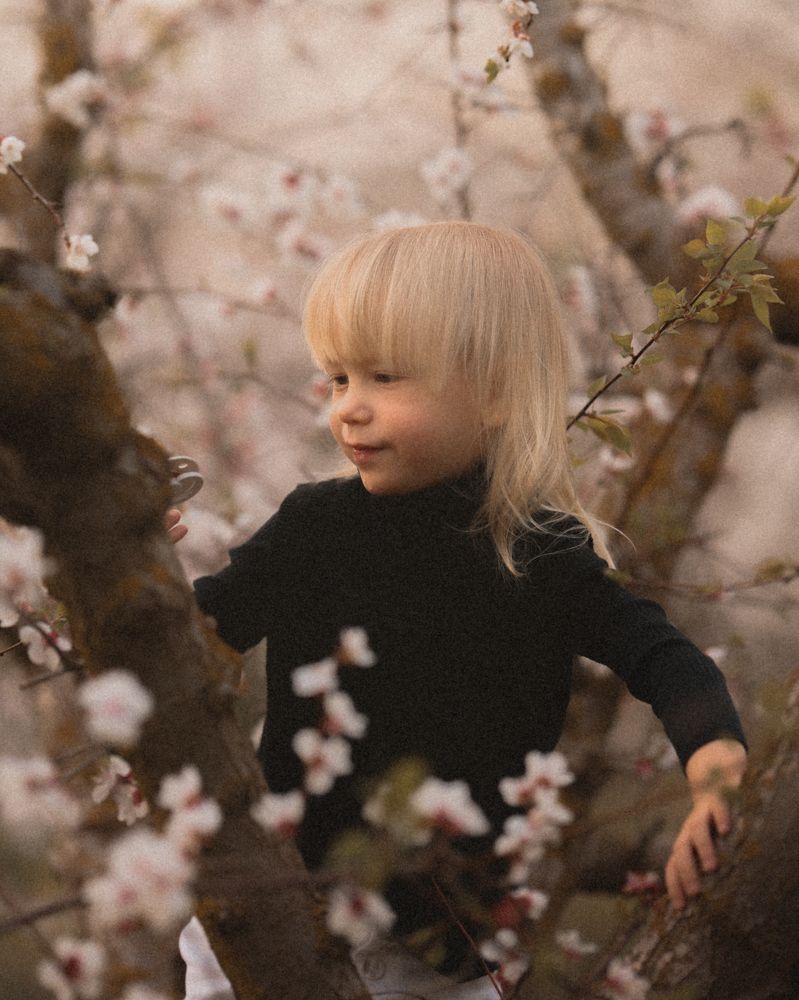 Photograph by Rotem Katz