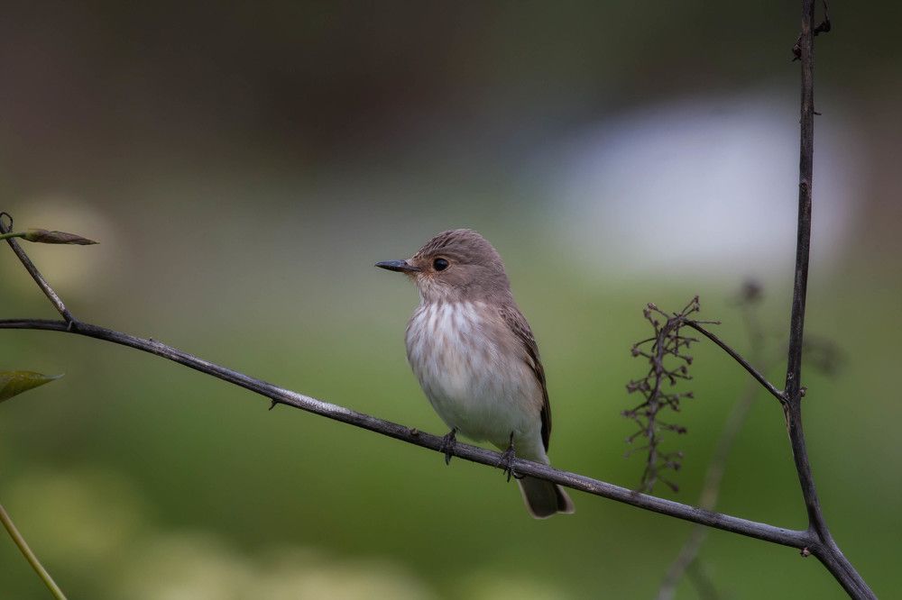 Photograph by Артур