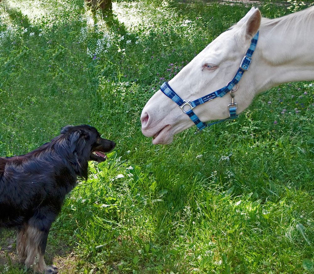 Photograph by Юрий Спасенников