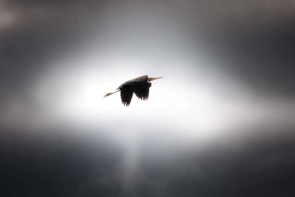 Photograph by Артур