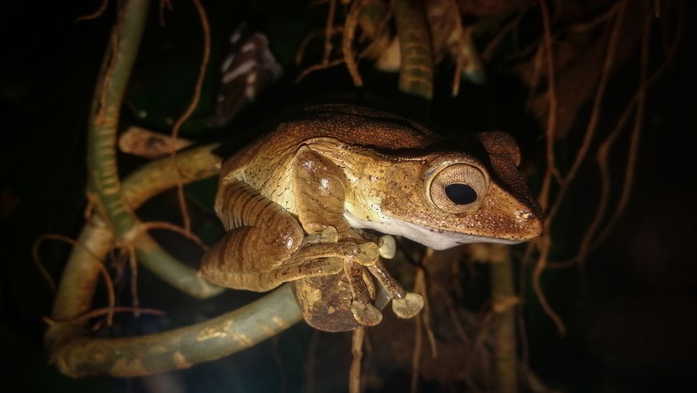 Photograph by Филиппов Олег