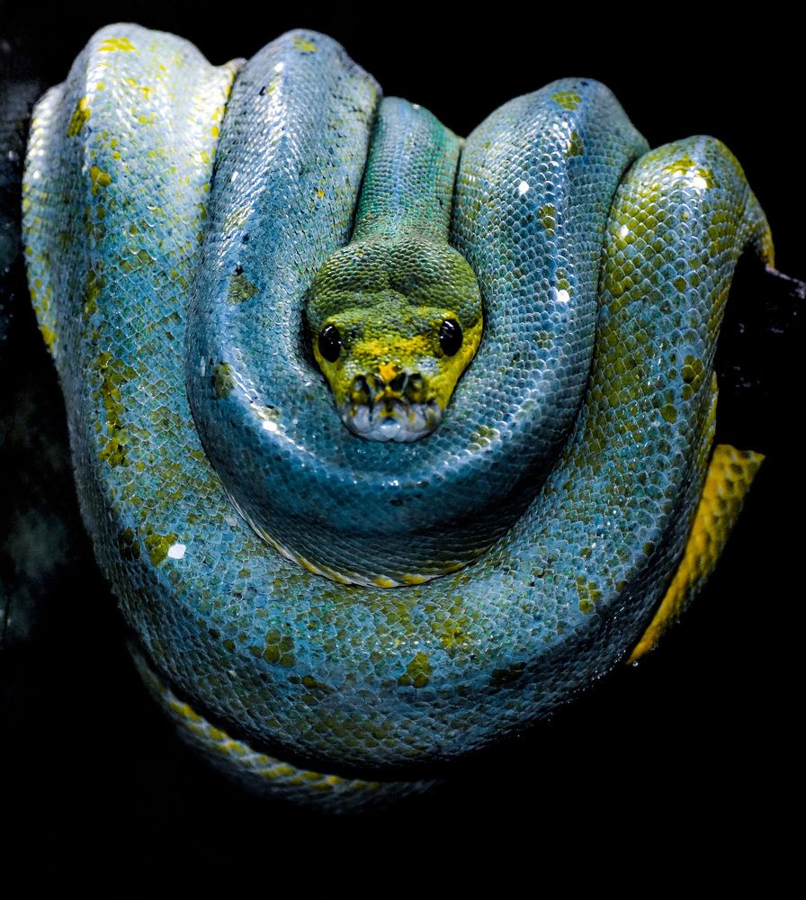 Photograph by Yannah Tekwie