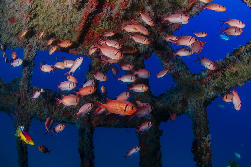 Photograph by ANTONIO RUVER BANDEIRA