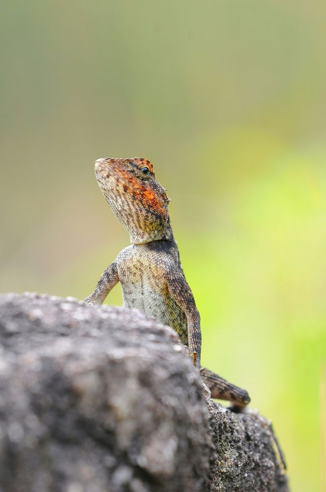 Photograph by George S George