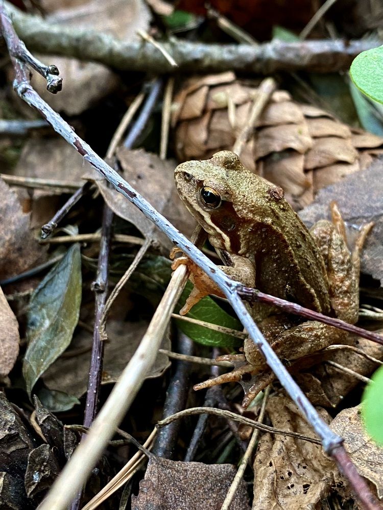 Фотография автора Александр Заикин
