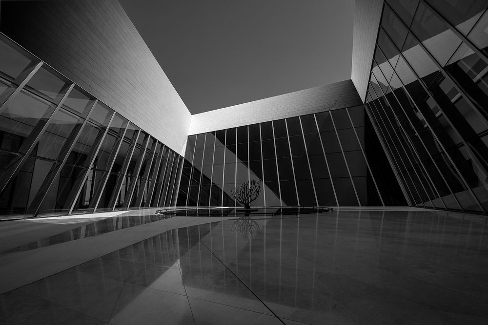 Photograph by rajiv pachat