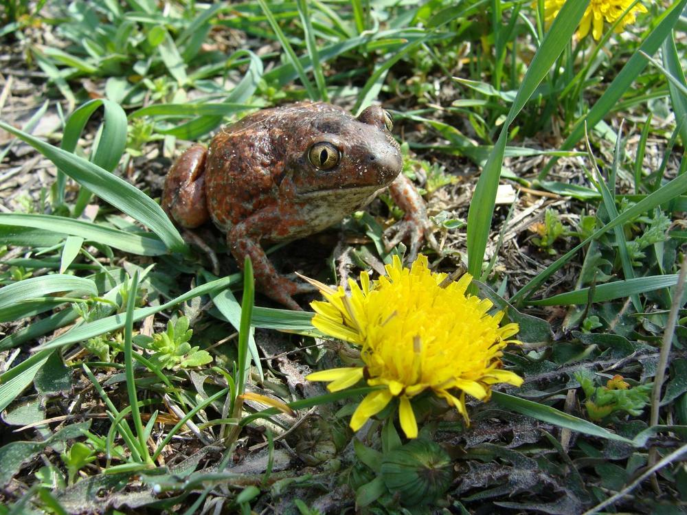 Фотография автора Павел Попов