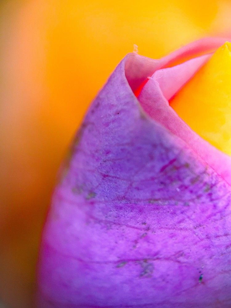 Photograph by Алёна Корж