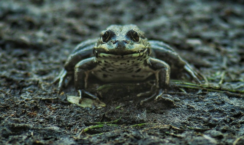 Photograph by Sergey Velichko