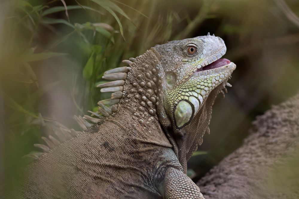 Photograph by Aлена Плясова