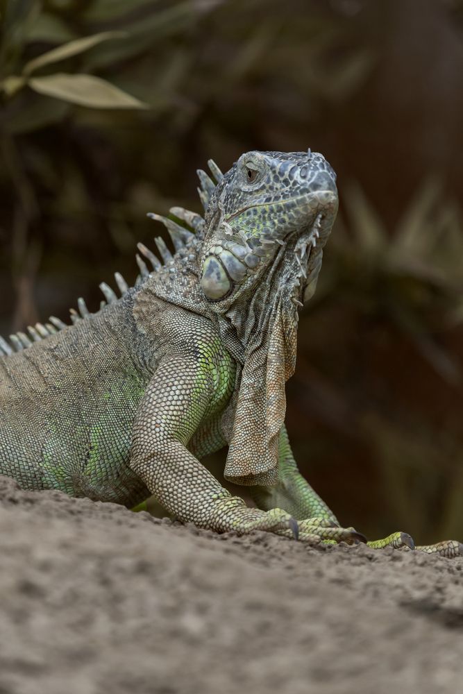 Photograph by Aлена Плясова