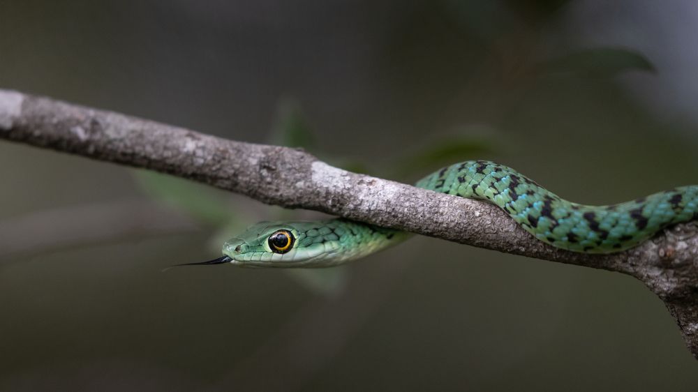 Photograph by Bevzenko Roman