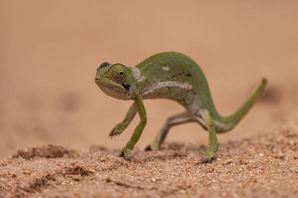 Photograph by Bevzenko Roman