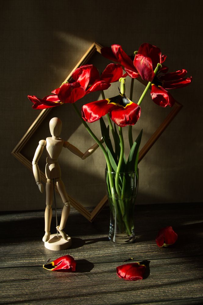 Свет и тень