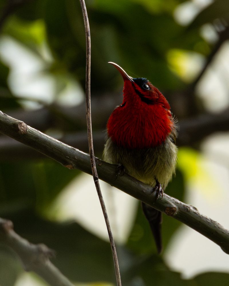 Photograph by RITVIK BHARDWAJ