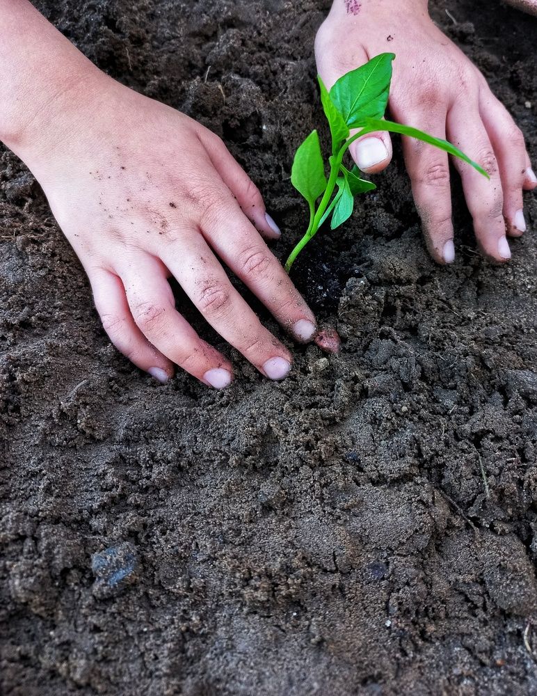 Photograph by Екатерина