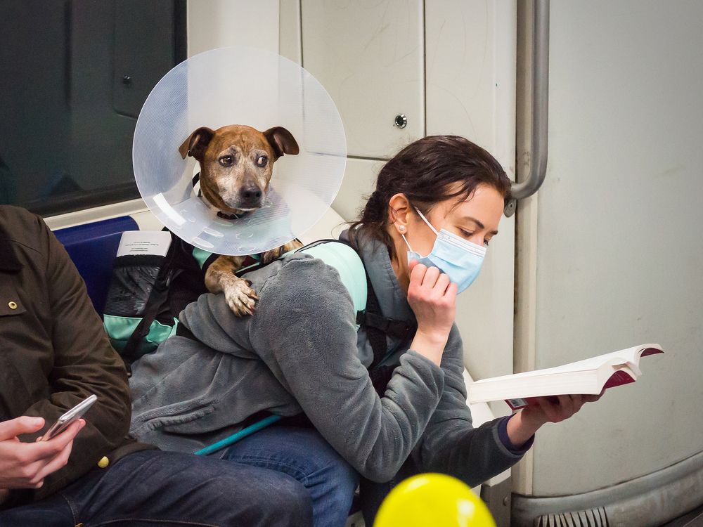 Photograph by Владислав Михайлов