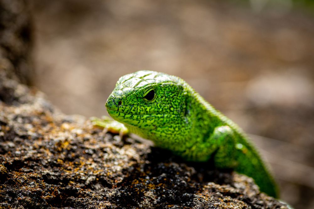 Photograph by Евгений Еськов