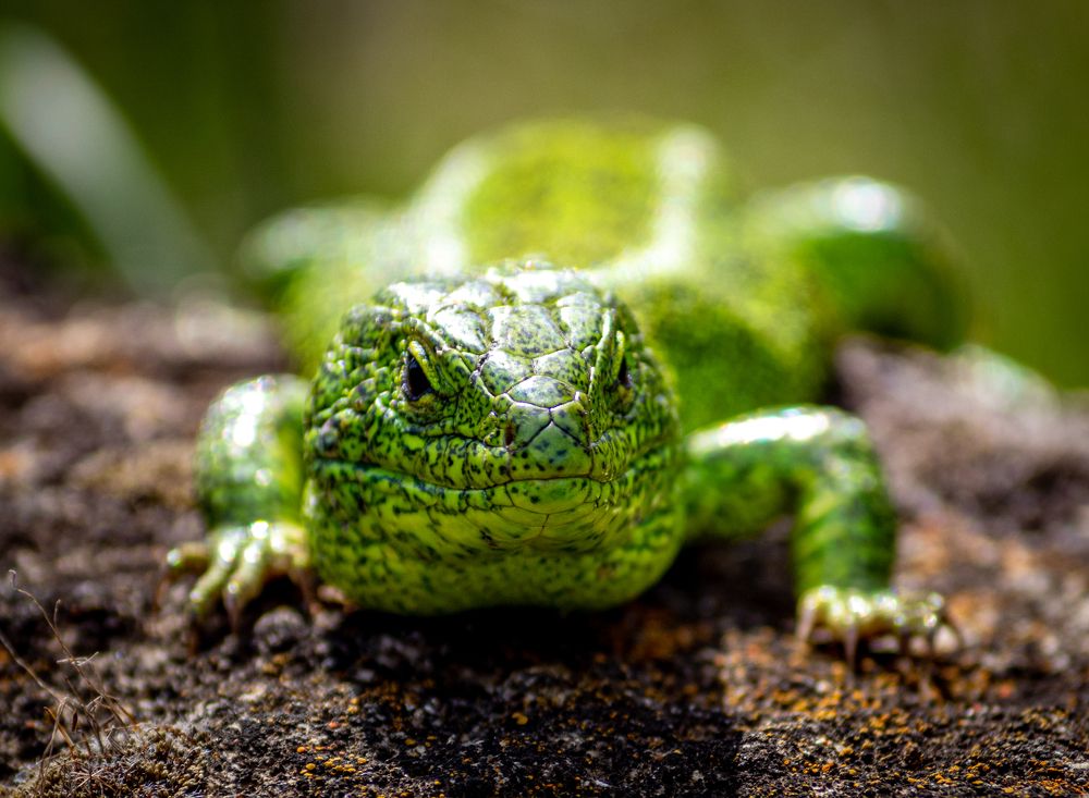 Photograph by Евгений Еськов