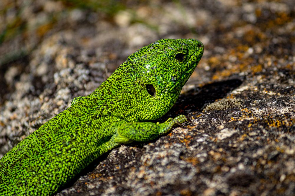 Photograph by Евгений Еськов