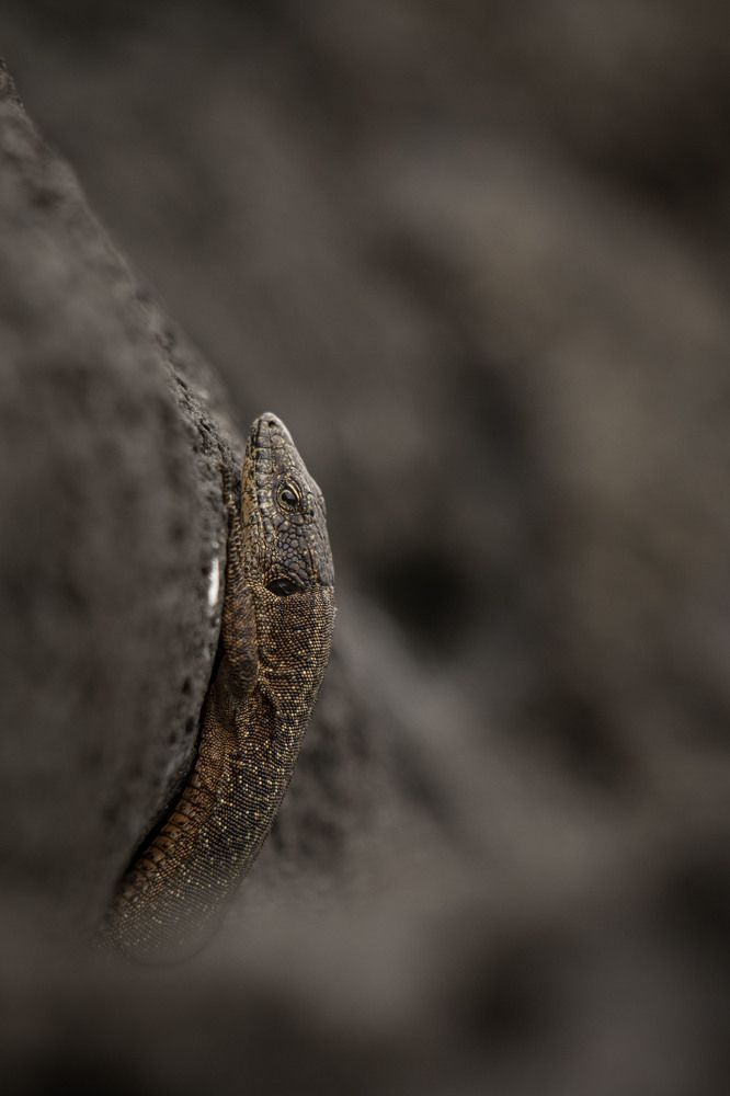 Photograph by Markéta Mastešová