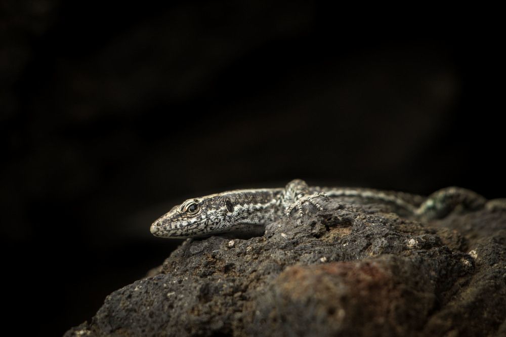 Photograph by Markéta Mastešová