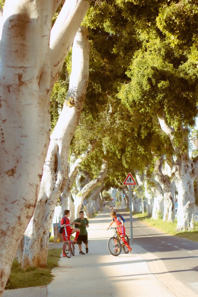 Photograph by Зоя Ципельштейн