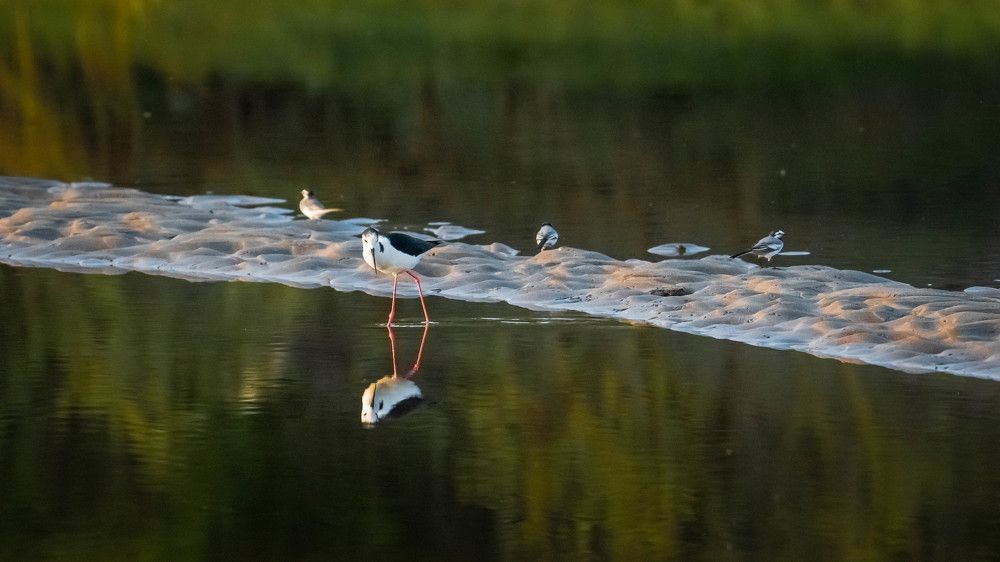 Photograph by Игорь Иванов