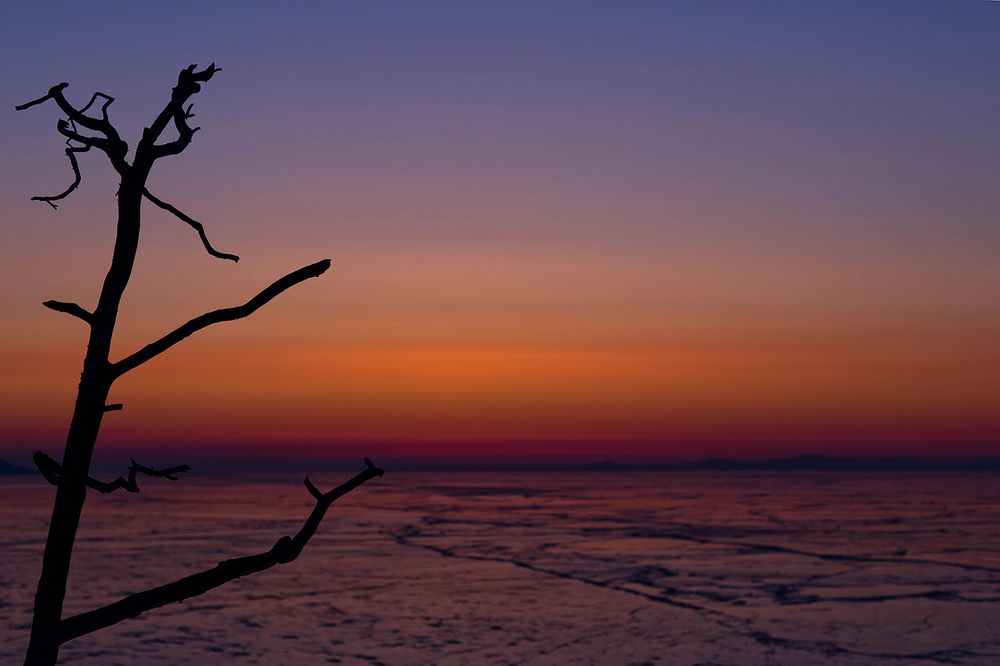 Photograph by Максимова Ольга Васильевна