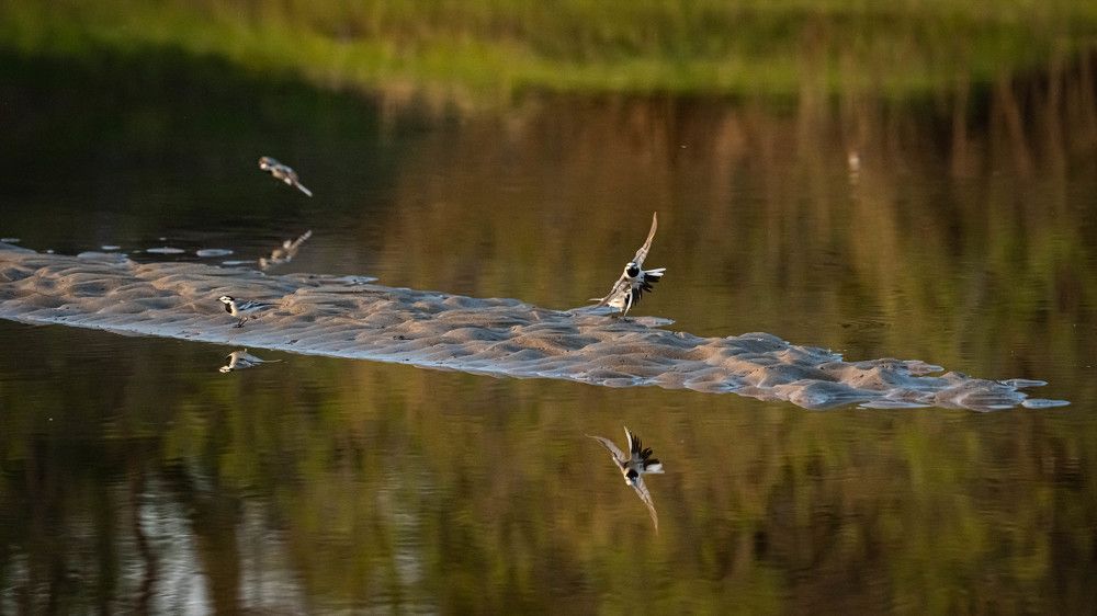 Photograph by Игорь Иванов