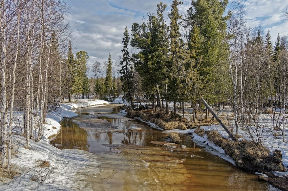 Photograph by Александр Клюев