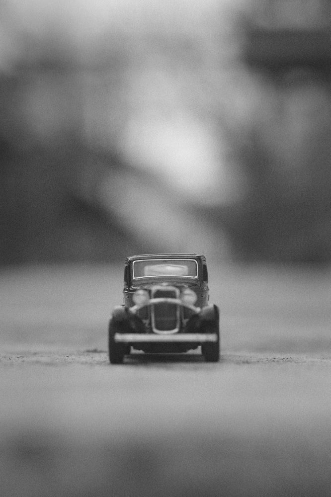 Фотография автора Мария Стратан