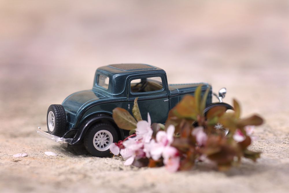 Фотография автора Мария Стратан