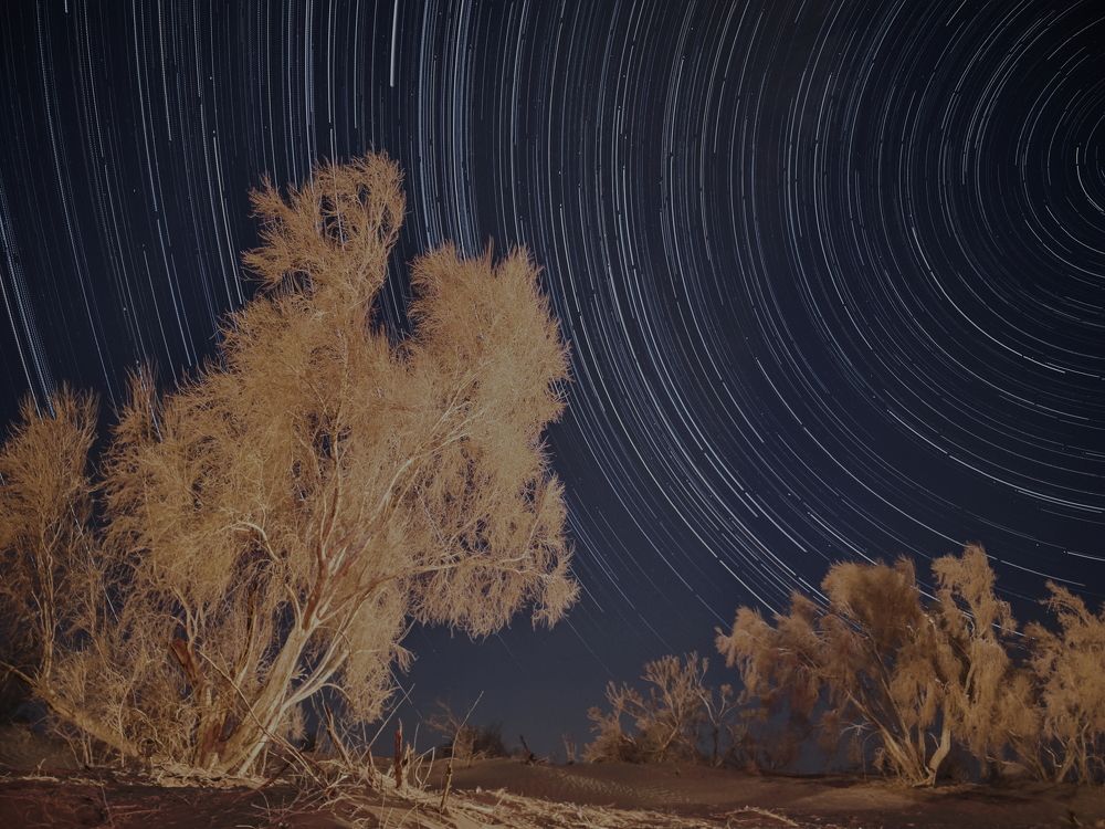 Photograph by Mahdi Reihani Bozorg