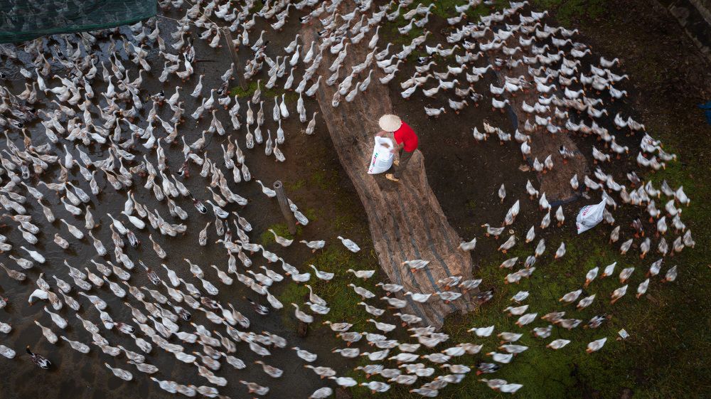 Photograph by Hanh P. T. Pham