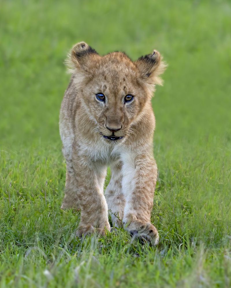 Photograph by Sushmeet Kathuria