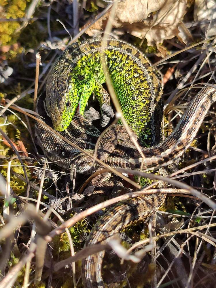 Photograph by Татьяна Кужлекова