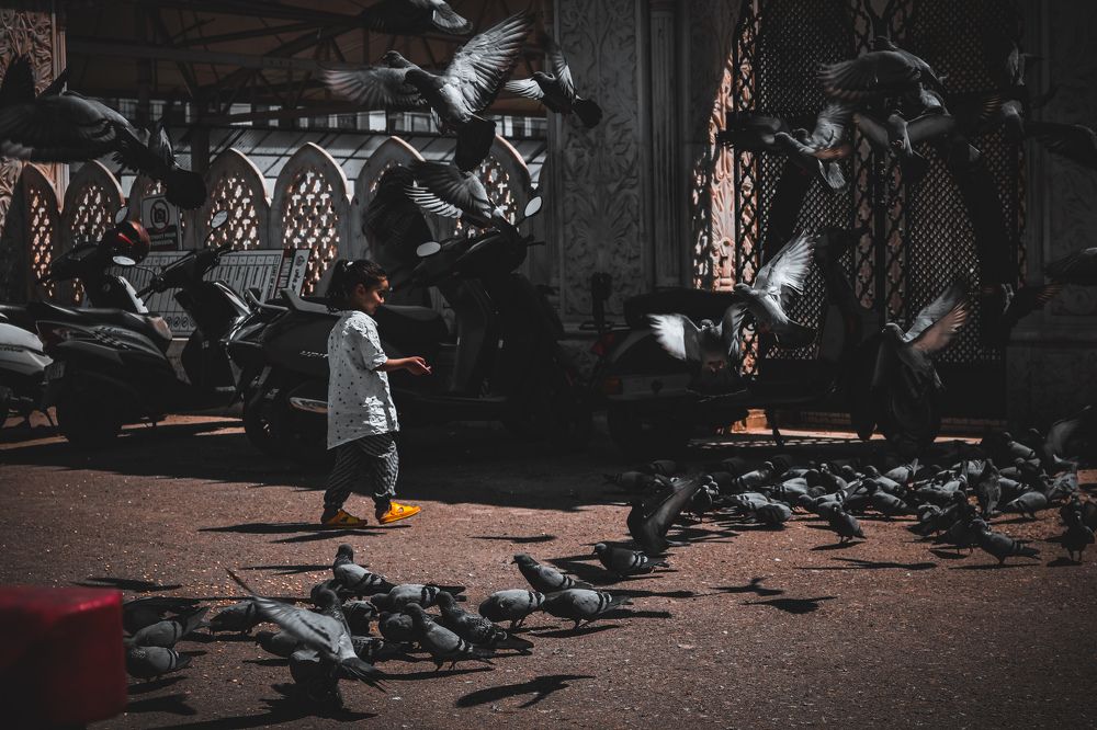 I was born free so let me be...